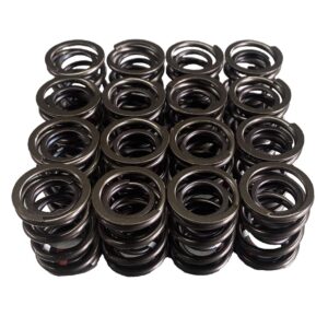 Ventilfedersatz für Mercedes 190 16V M102 2.3-16 2.5-16